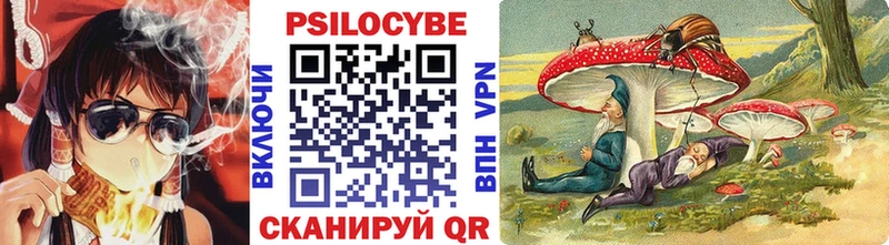 Купить закладки  Белинский  Галлюциногенные грибы Cubensis 